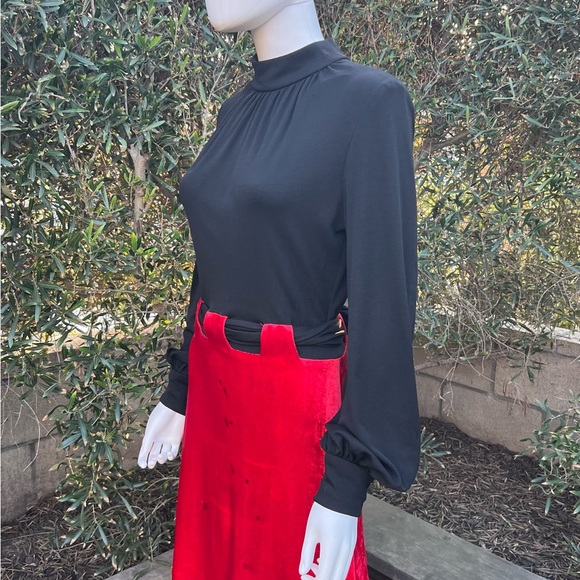 Vintage Red Velvet and Black Gown - Picture 9 of 10